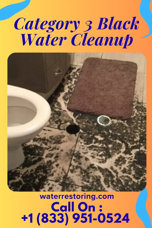 Category 3 Black Water Cleanup in Watch Hill, RI