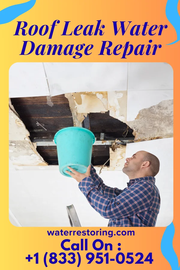 Roof Leak Water Damage Repair in Watch Hill, RI