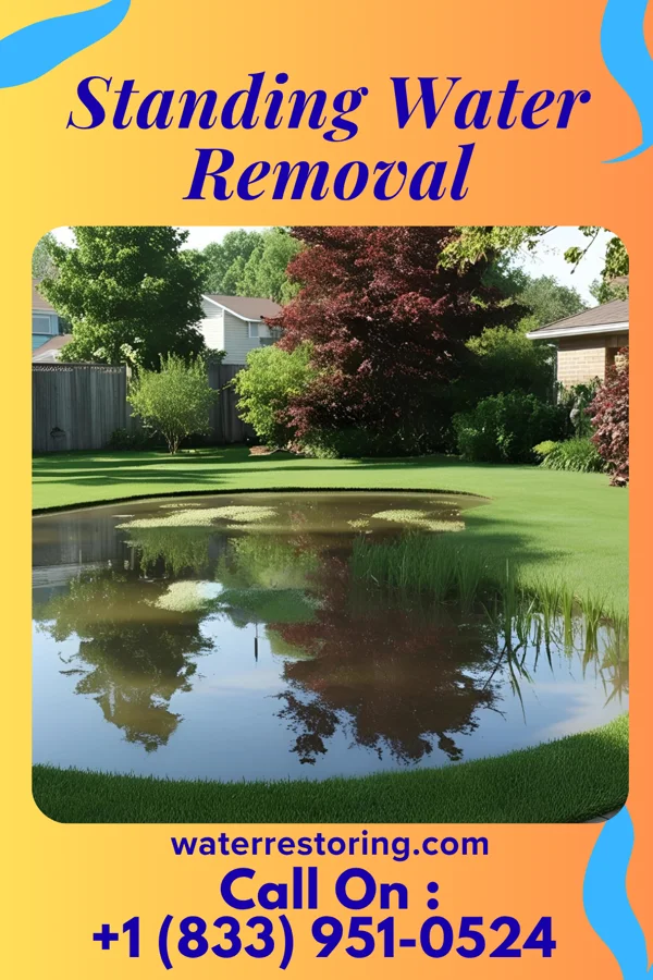 Standing Water Removal in Watch Hill, RI